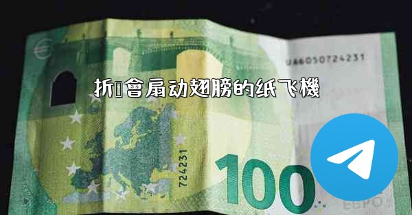 折叠會扇动翅膀的纸飞機