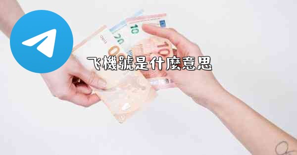 飞機號是什麼意思