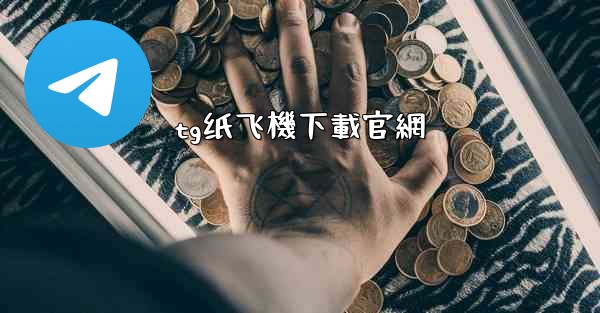 tg纸飞機下載官網