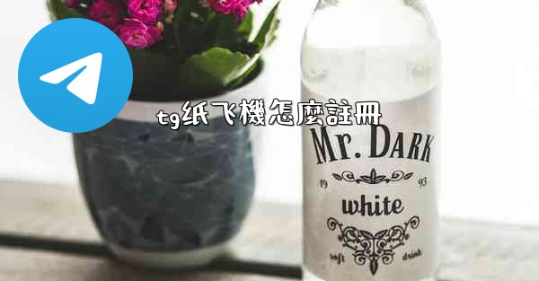 tg纸飞機怎麼註冊