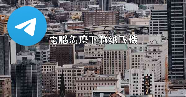 電腦怎麼下載纸飞機