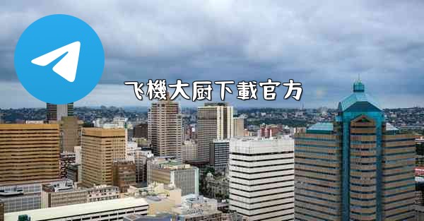 飞機大厨下載官方