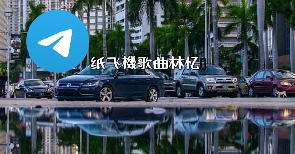 纸飞機歌曲林忆莲