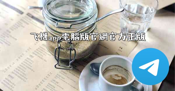 飞機app電腦版官網官方正版