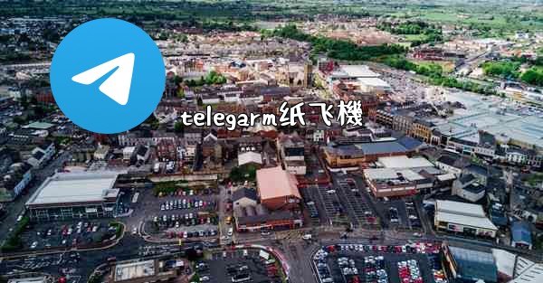 telegarm纸飞機