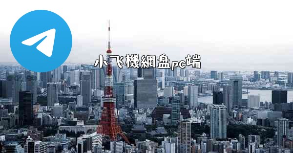 <b>小飞機網盘pc端</b>