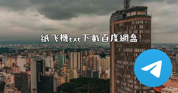 纸飞機txt下載百度網盘