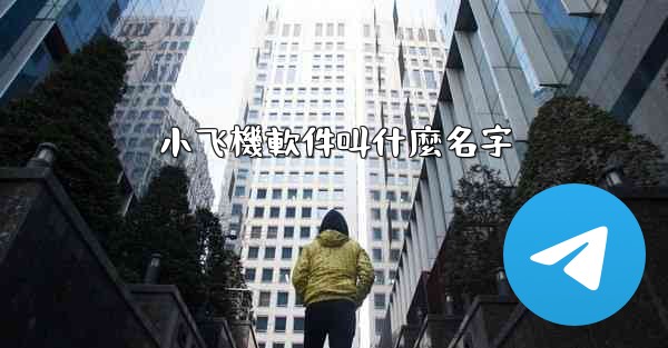 小飞機軟件叫什麼名字