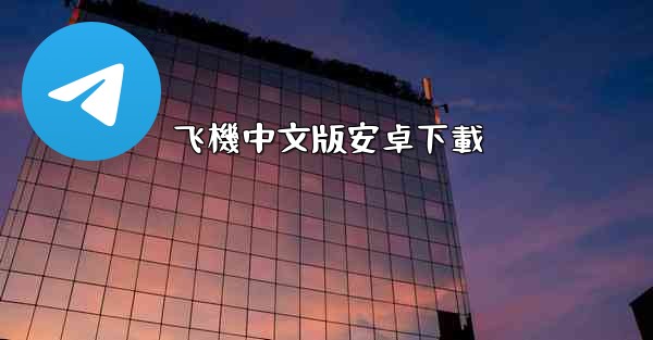 飞機中文版安卓下載