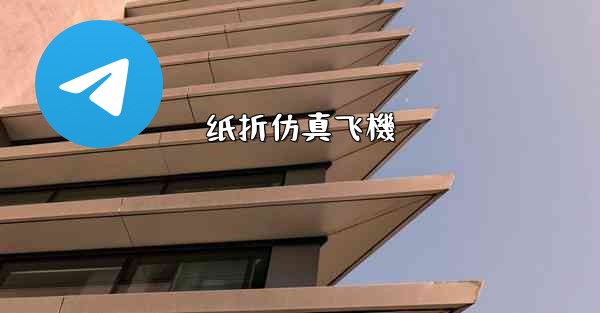 纸折仿真飞機