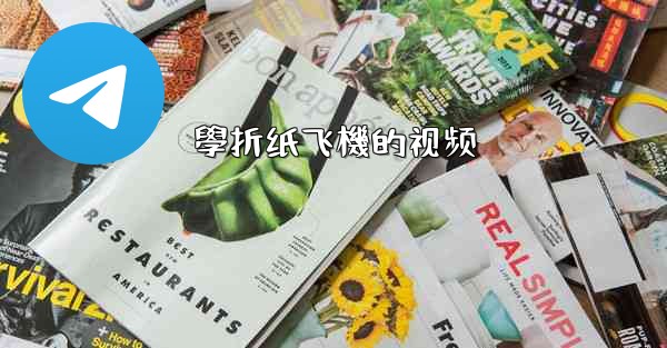 學折纸飞機的视频