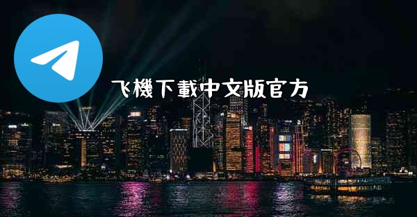 飞機下載中文版官方