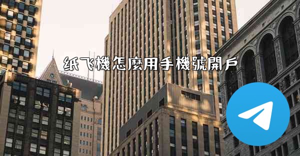 纸飞機怎麼用手機號開戶