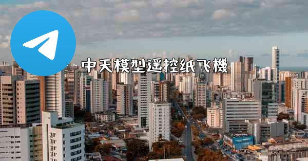 中天模型遥控纸飞機