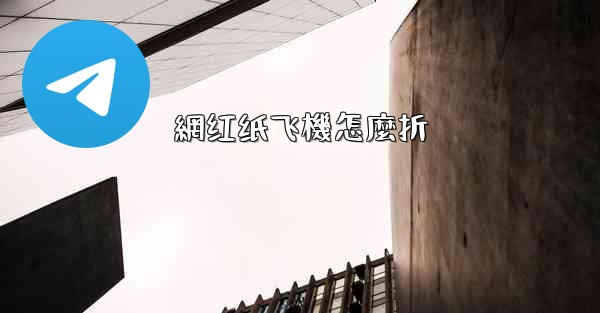 網红纸飞機怎麼折