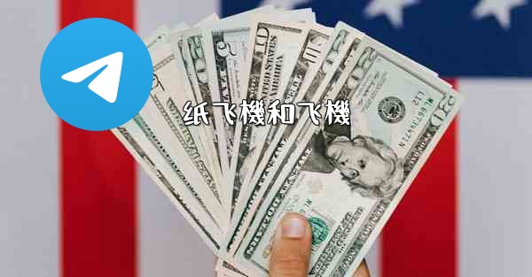 <b>纸飞機和飞機</b>