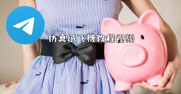 仿真纸飞機教程视频