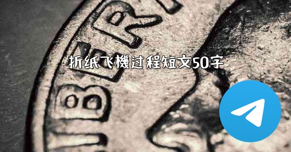 折纸飞機过程短文50字