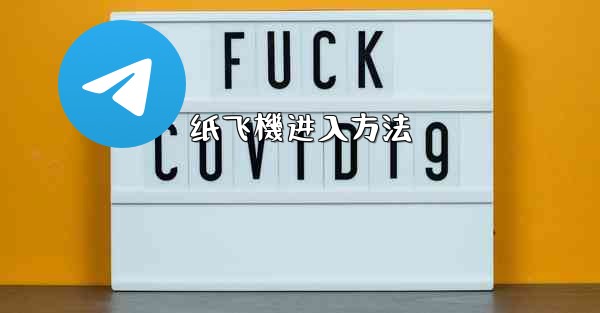 纸飞機进入方法