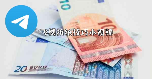 飞機折纸技巧小视频