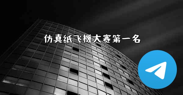 仿真纸飞機大赛第一名