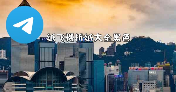 纸飞機折纸大全黑色