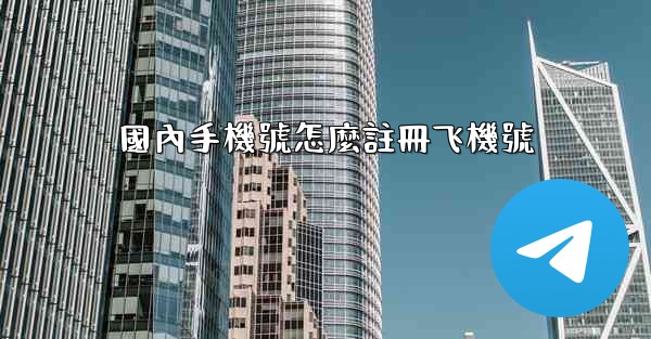 國內手機號怎麼註冊飞機號