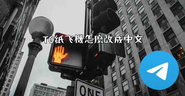 TG纸飞機怎麼改成中文