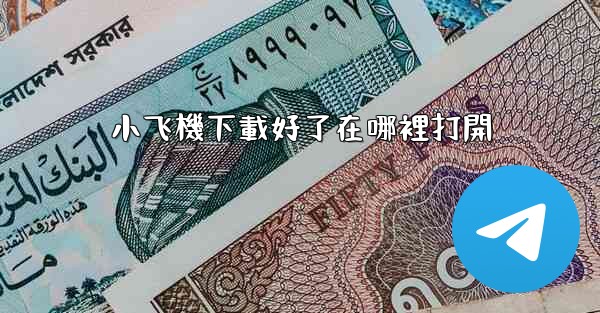 小飞機下載好了在哪裡打開