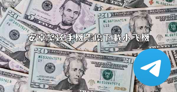 安卓繫統手機怎麼下載小飞機