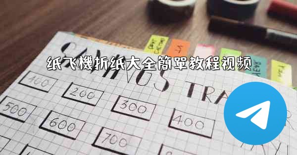 纸飞機折纸大全簡單教程视频