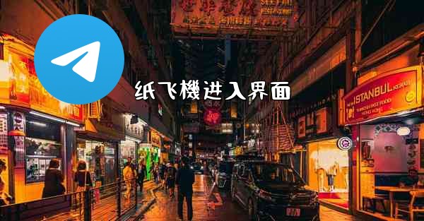 纸飞機进入界面