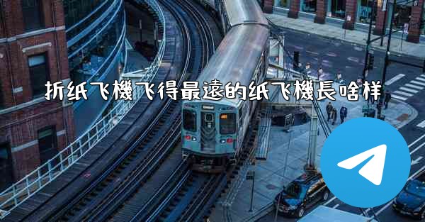 折纸飞機飞得最遠的纸飞機長啥样