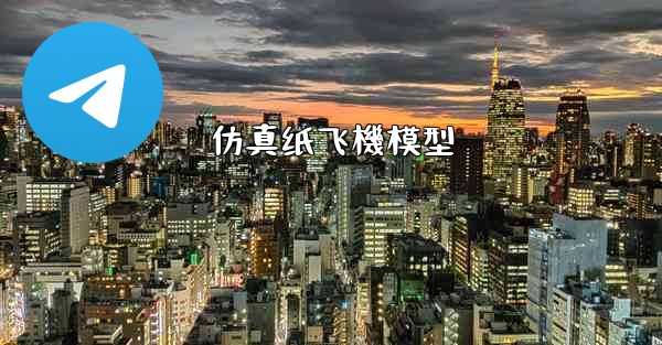 仿真纸飞機模型