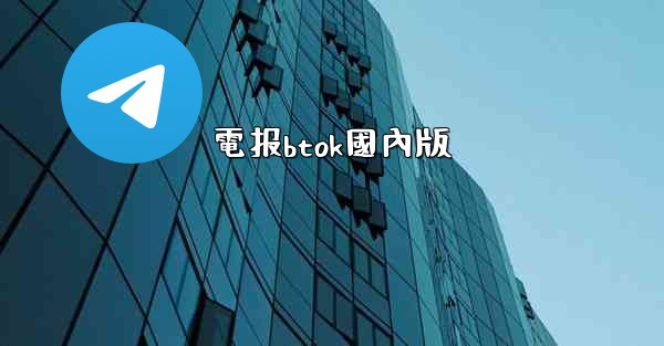 電报btok國內版