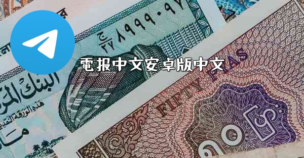 電报中文安卓版中文