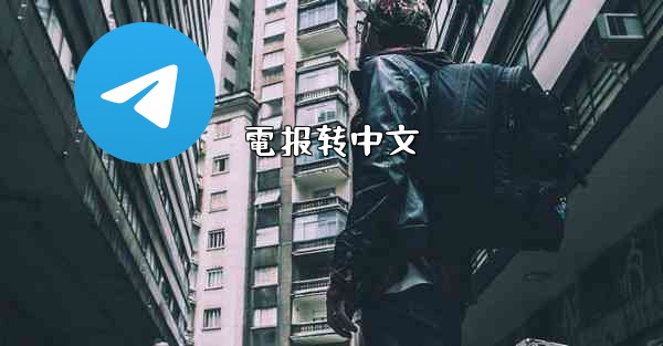 電报转中文