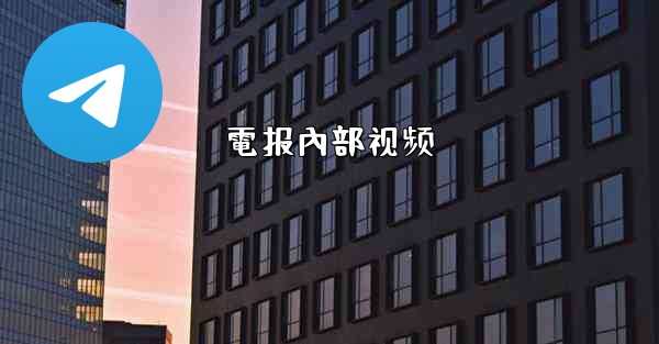 電报內部视频