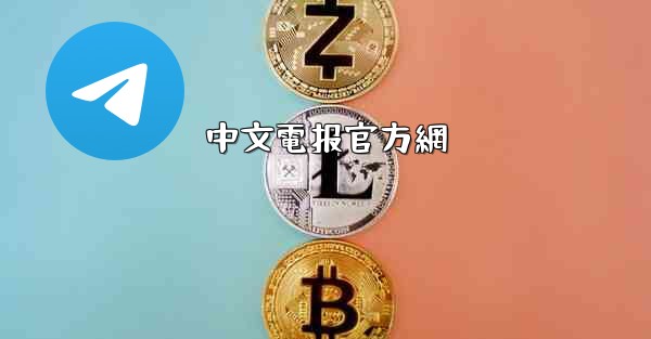 中文電报官方網
