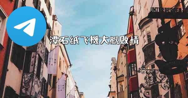 潭石纸飞機大概剧情