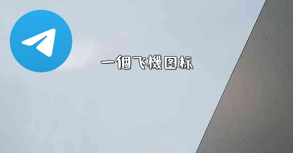 一個飞機图标