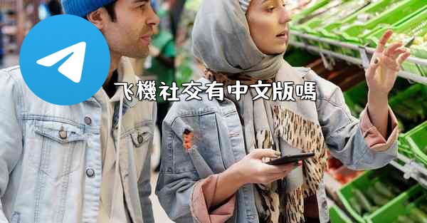 飞機社交有中文版嗎
