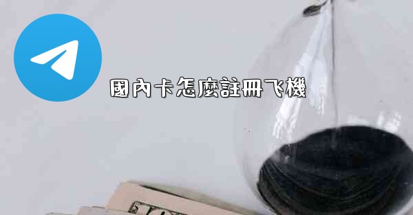 國內卡怎麼註冊飞機