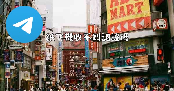 纸飞機收不到認證碼