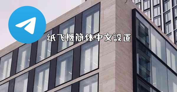 纸飞機簡体中文設置