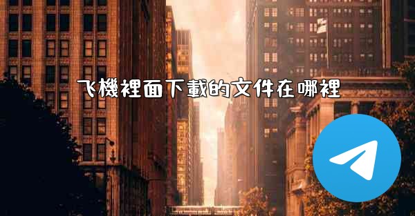 飞機裡面下載的文件在哪裡