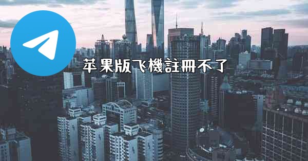 苹果版飞機註冊不了