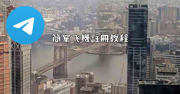 簡單飞機註冊教程