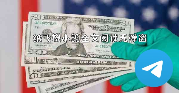 纸飞機小說全文阅读无弹窗