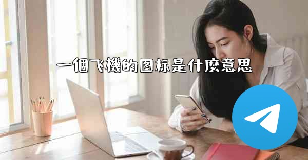 一個飞機的图标是什麼意思